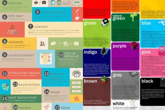 Collection of Web Design infographics