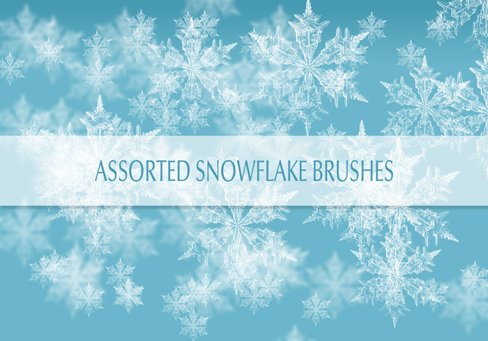 real-snow-flakes-brushes
