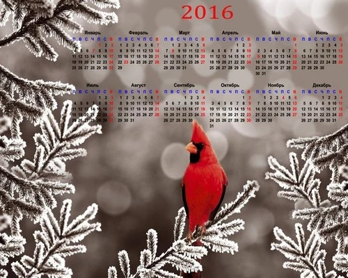 1448347165_2016-calendar-template-psd-with-a-beautiful-bird-1
