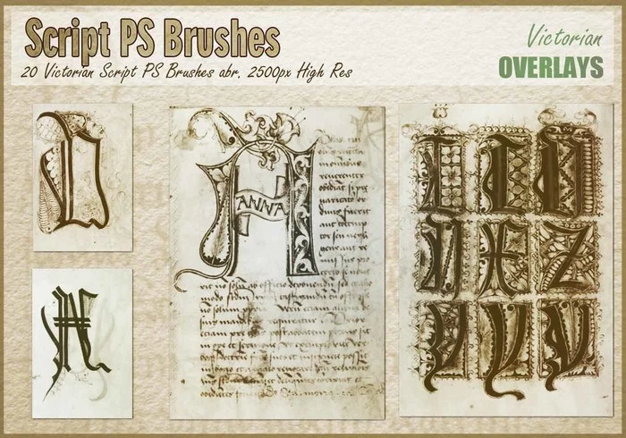 victorian-script-ps-brushes-abr