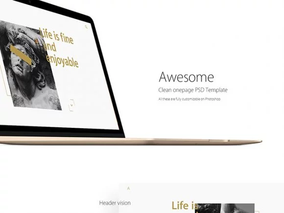 clean-onepage-template-580x435