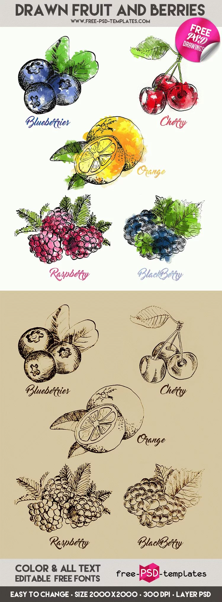 Preview_Drawn_Fruit_and_Berries_result