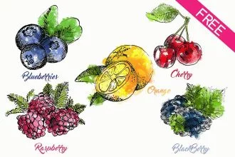 FREE Drawn Fruit and Berries IN PSD
