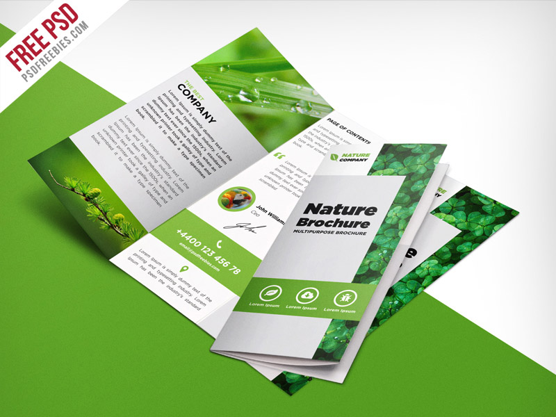 3 Fold Brochure Template Psd Free Download