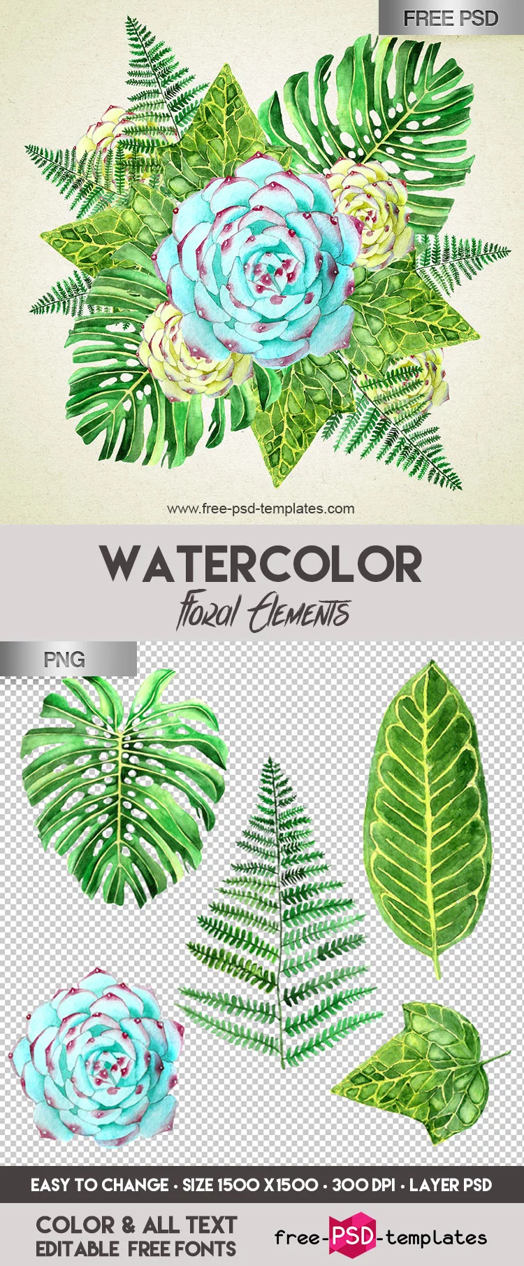 FREE Watercolor Floral Elements IN PSD