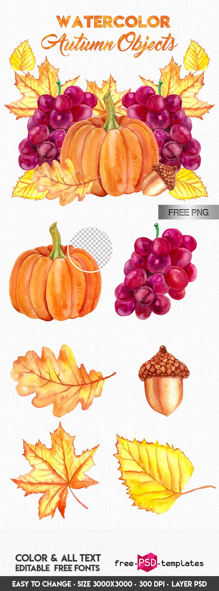 FREE Watercolor Autumn Objects