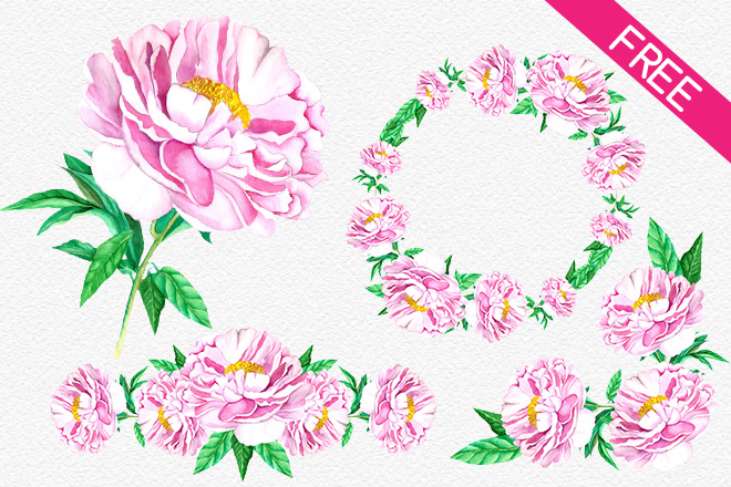 FREE Watercolor Peony – Free PSD Templates