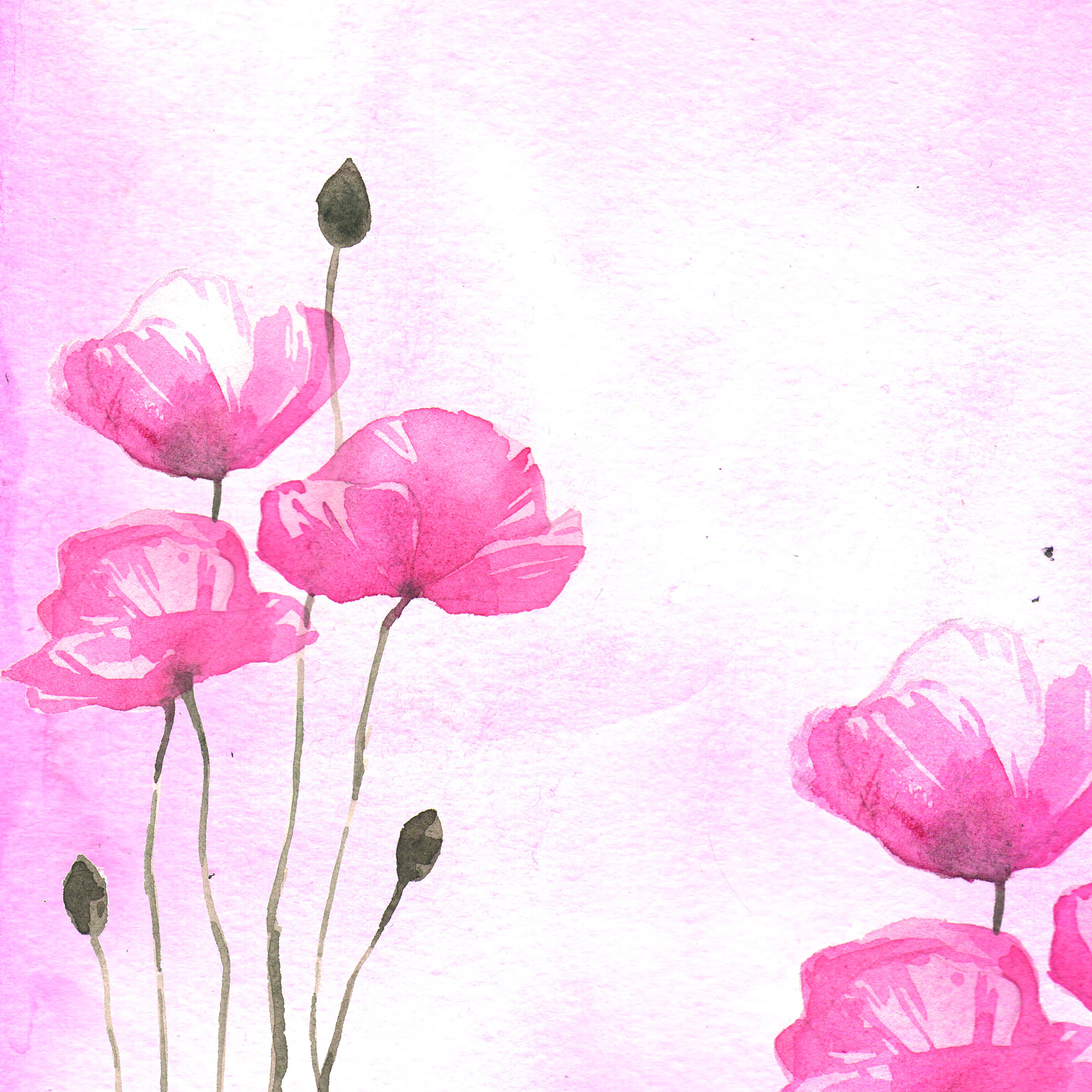 30 Awesome Free PSD & PNG Watercolor Illustrations for exclusive design ...