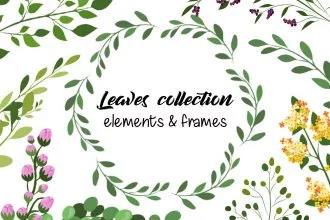 Free Leaves Collection