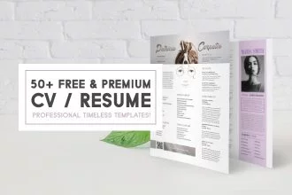50+ Premium & Free CV/ Resume Professional Timeless templates!