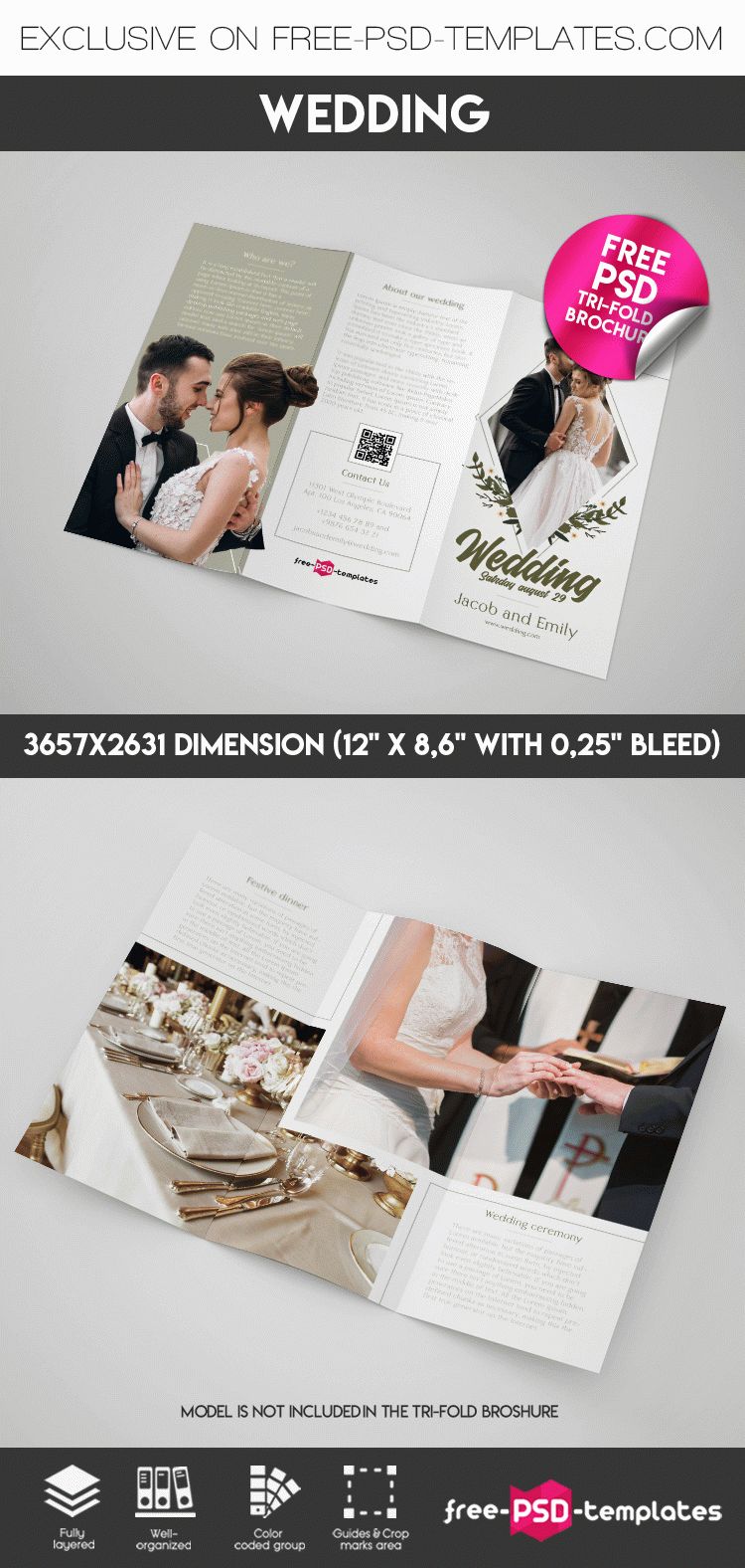 Free Trifold Wedding Program Template In Adobe Illustrator