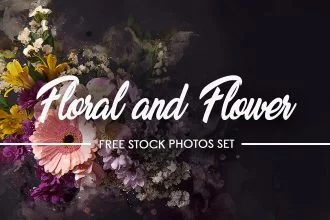 12+ Black Floral and Flower – Free Stock Photos Set