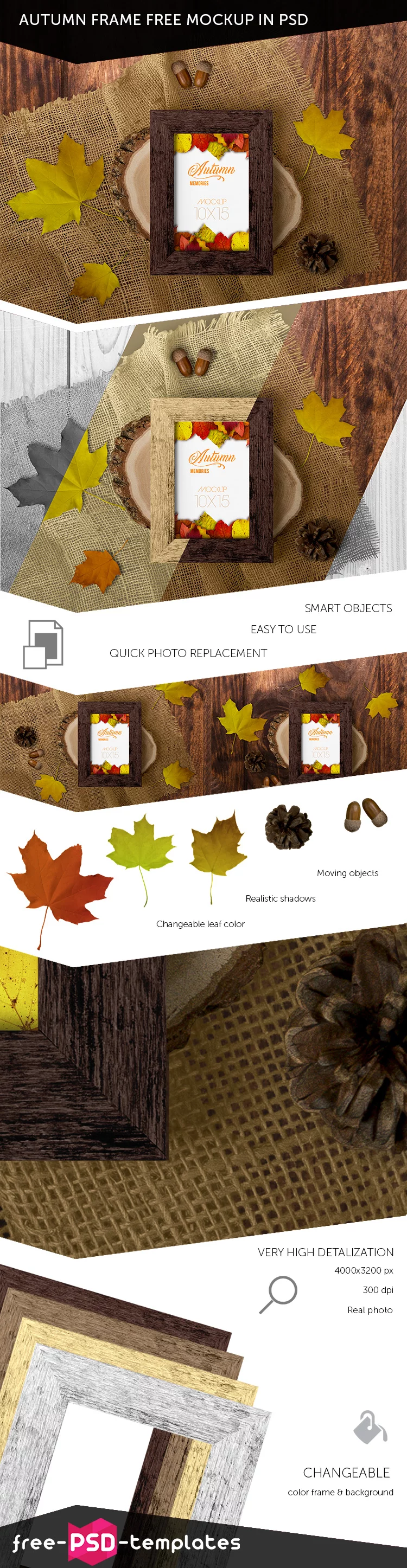 Autumn Frame Free Mockup in PSD