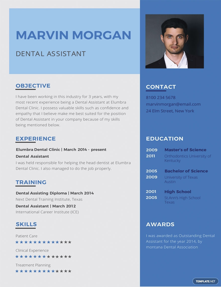 resume writing for project manager   69