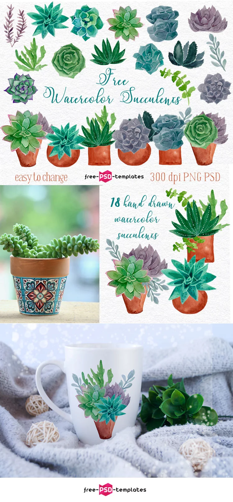 Free watercolour plants images PNG + PSD