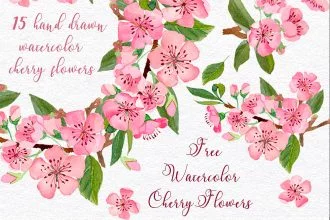 Free Cherry Flowers Watercolor