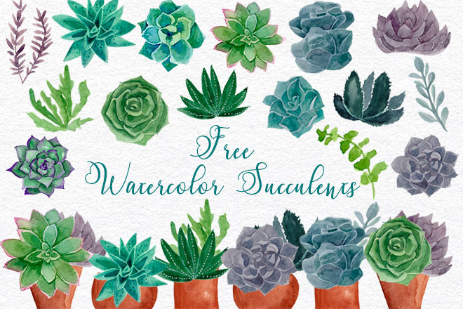 Free Succulents Watercolor – Free PSD Templates