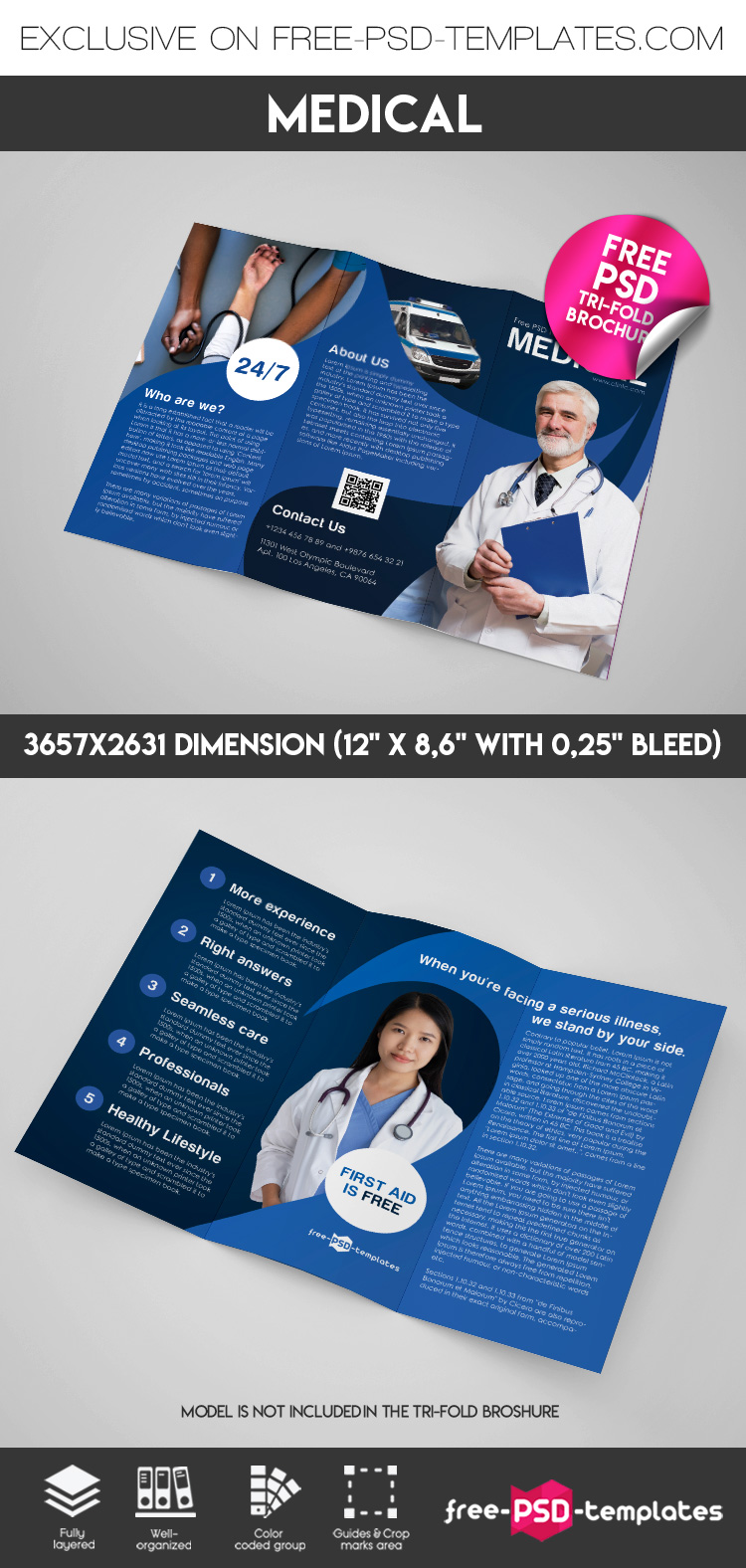 Free Medical Tri-Fold Brochure in PSD  Free PSD Templates Intended For Healthcare Brochure Templates Free Download