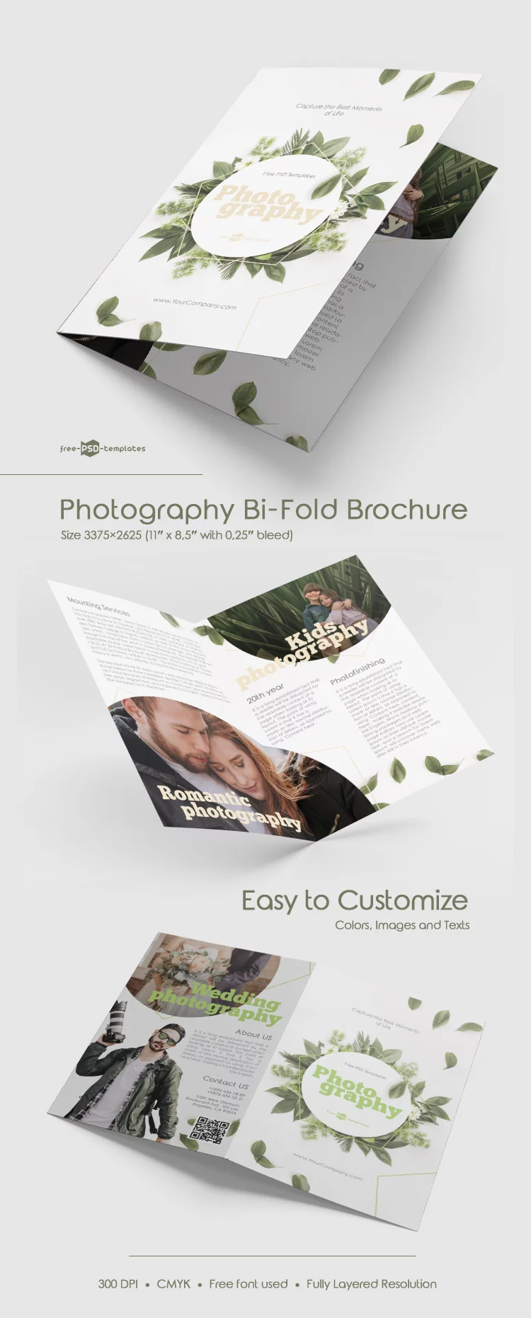 Free Photography Bi-Fold Brochure in PSD