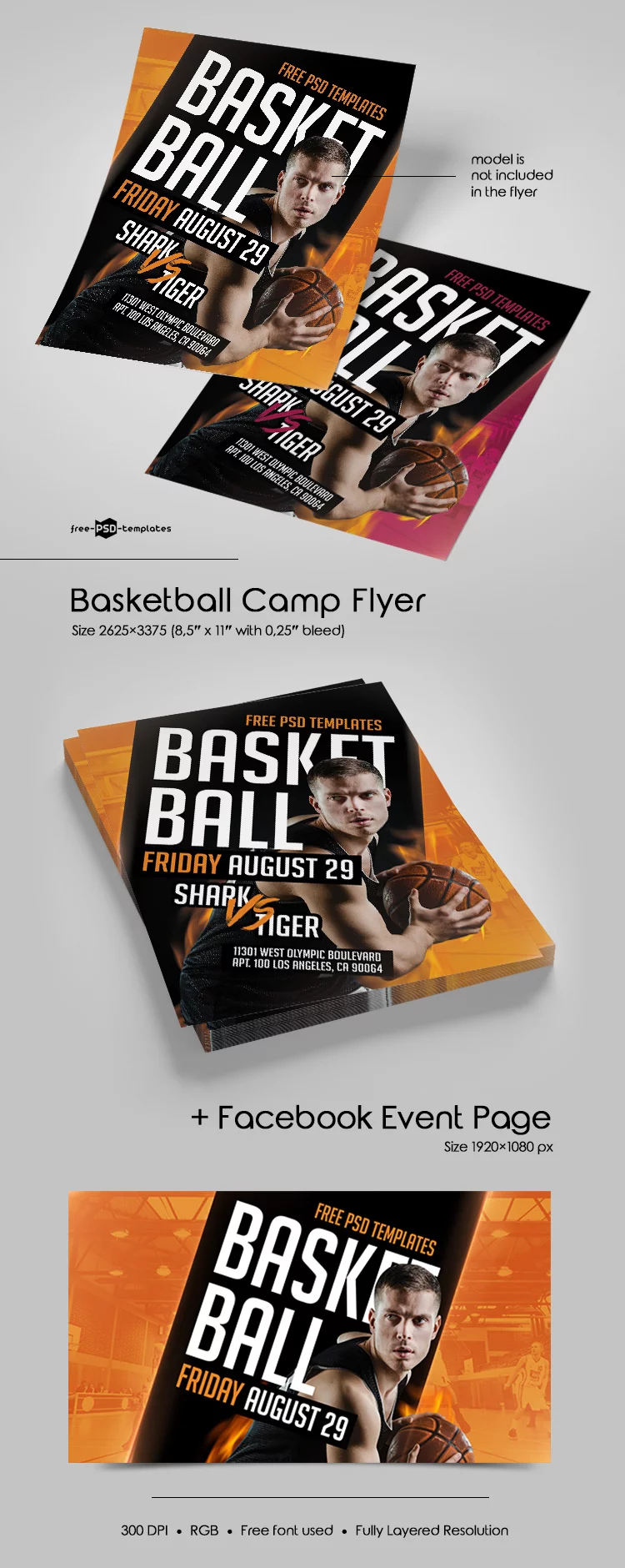 Free Basketball Camp Flyer in PSD
