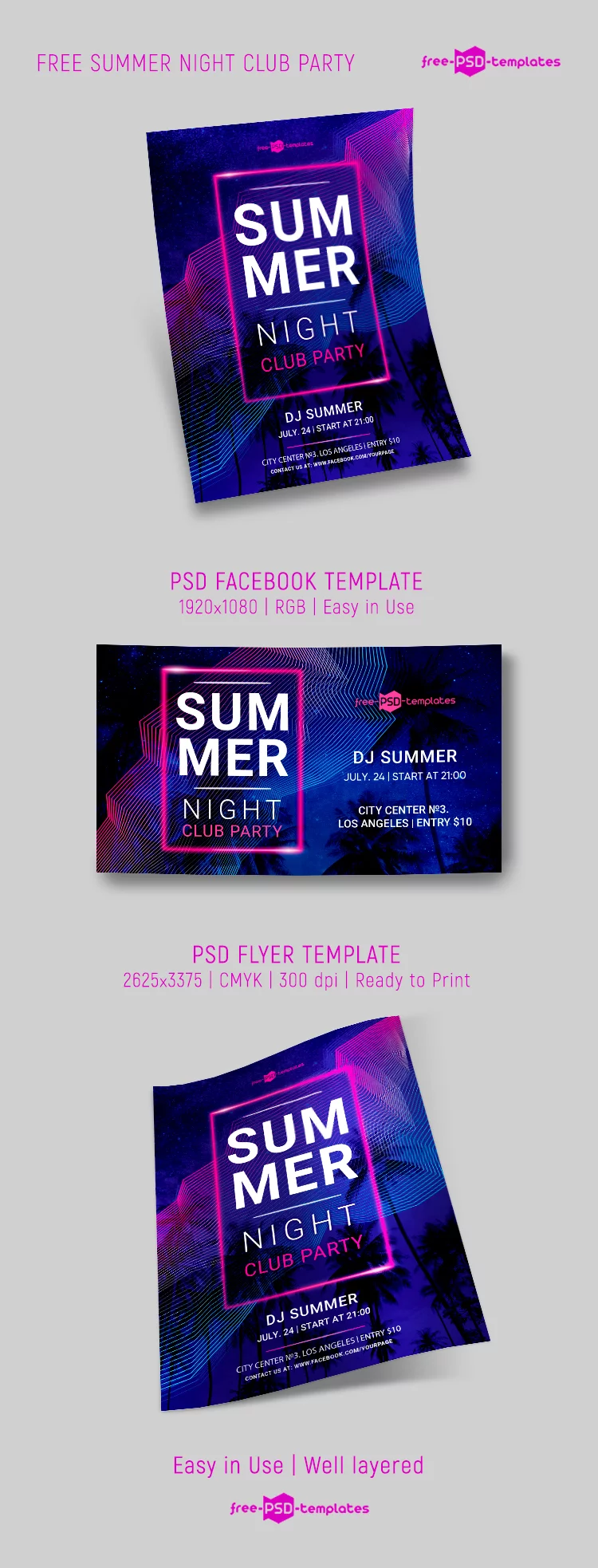 Free Summer Night Club Party Flyer