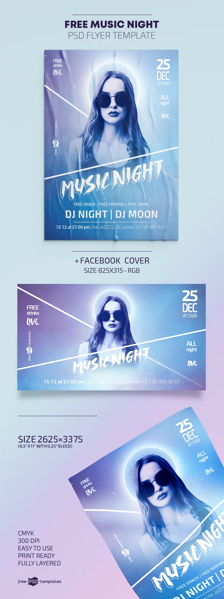 Free Music Night Flyer Template in PSD