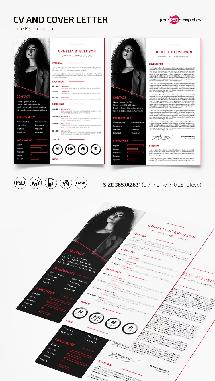 Free CV Resume Template v3 in PSD