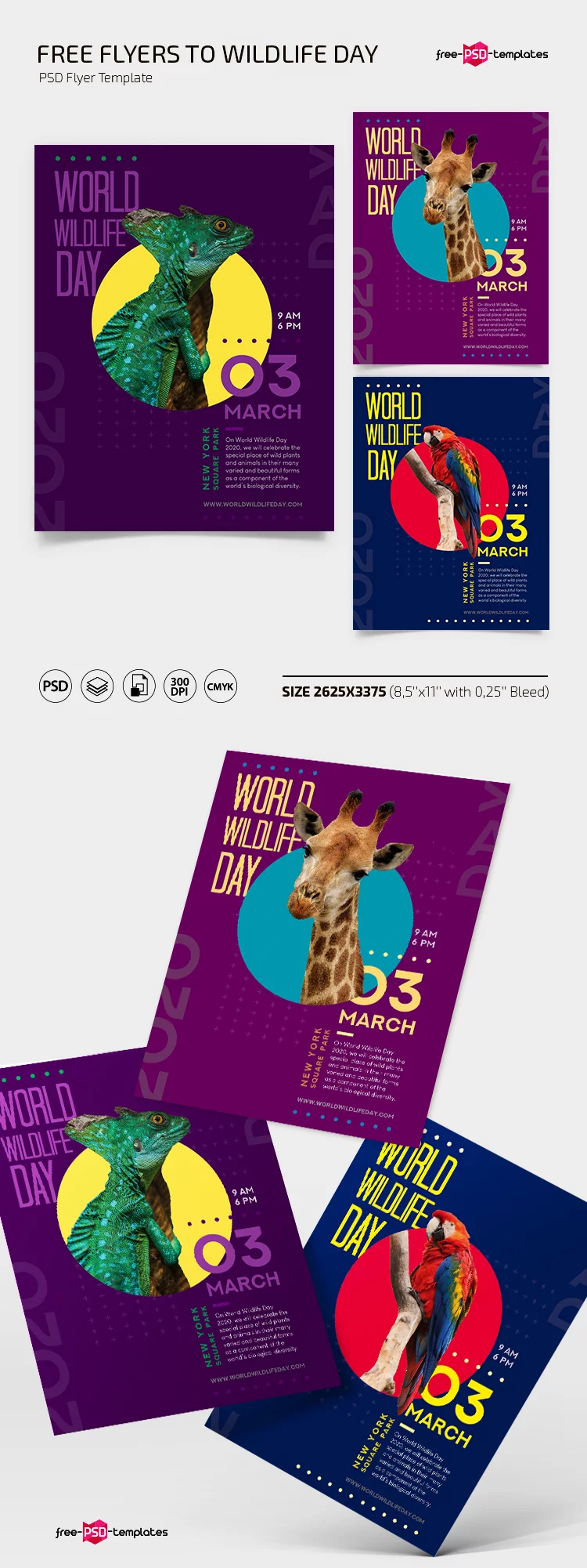 Free World Wildlife Day Flyers Templates