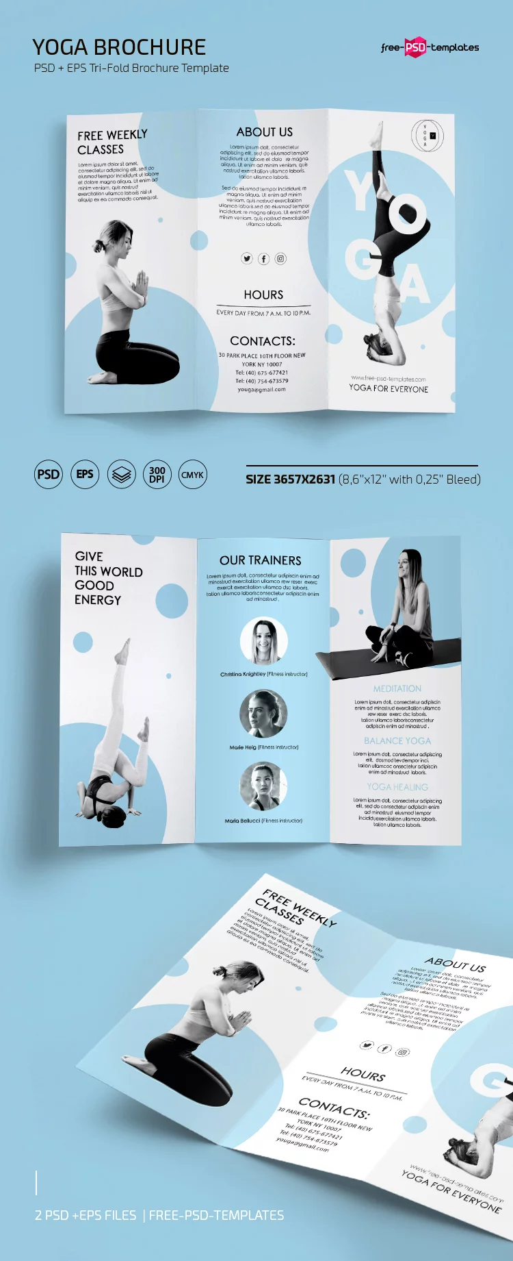 Free Yoga Tri-fold Brochure Template in PSD + EPS