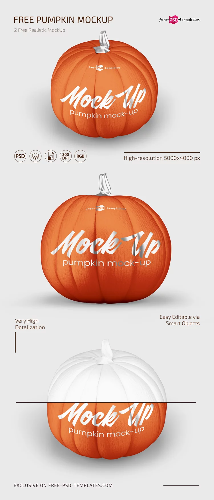 Free Pumpkin Mockup Set in PSD