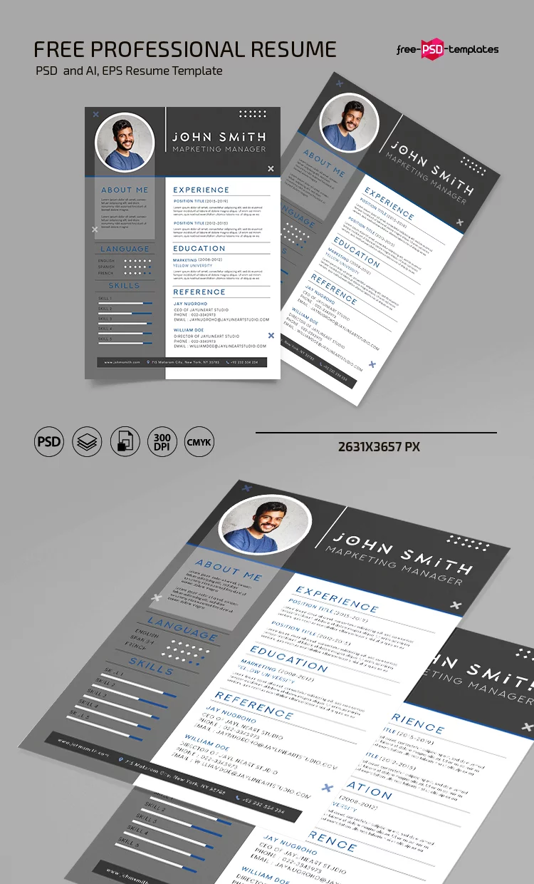 Free Professional Resume Template in PSD + Vector (.ai, .eps)