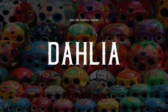 Free Dahlia Typeface