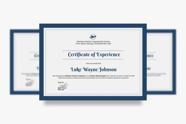Minimalist Experience Certificate in Google Docs