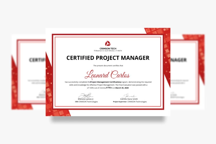 Project Manager Certificate in Google Docs