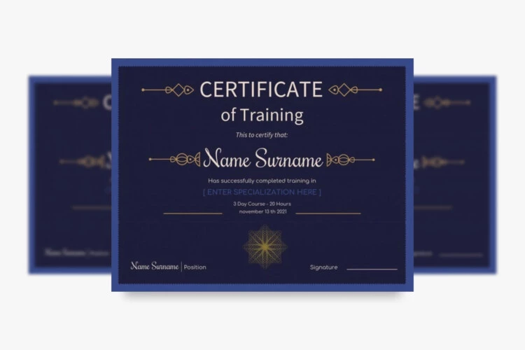 Stylish Certificate of Training for Google Docs