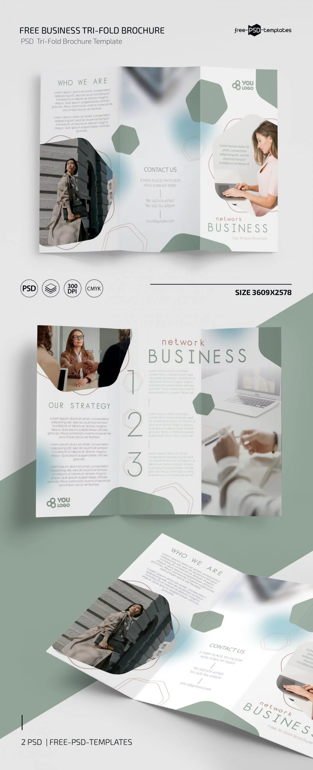 Free Business Tri-Fold Brochure PSD Template