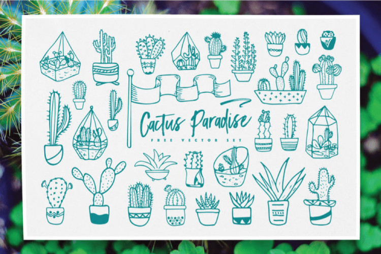 Cactus Icon Set