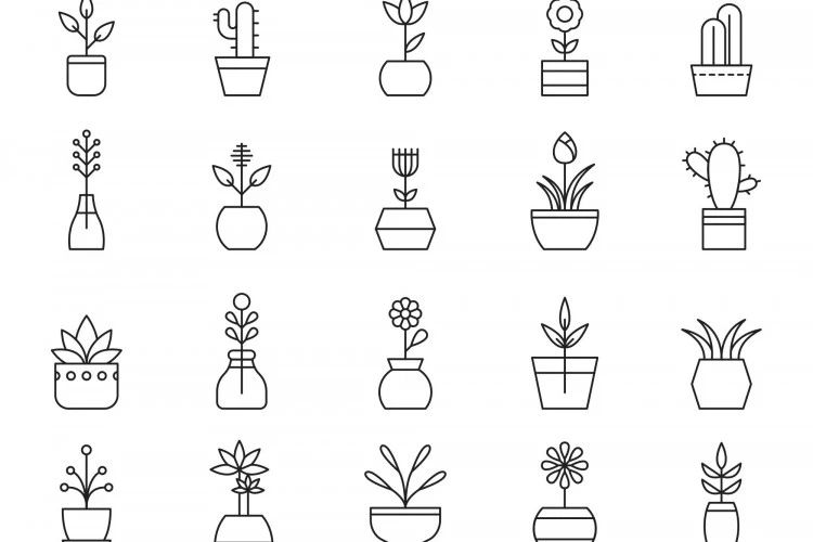 Potted Plants Vector Icons