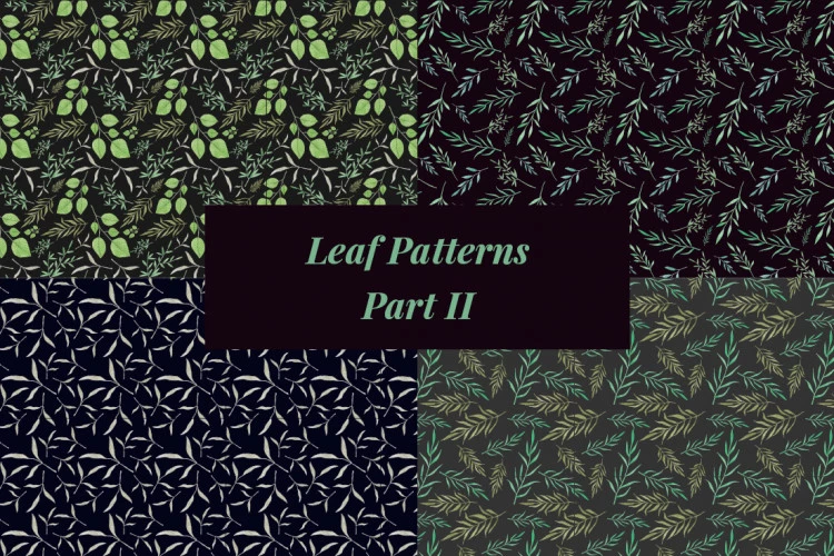 Nature Hand Drawn Vector Leaf Patterns