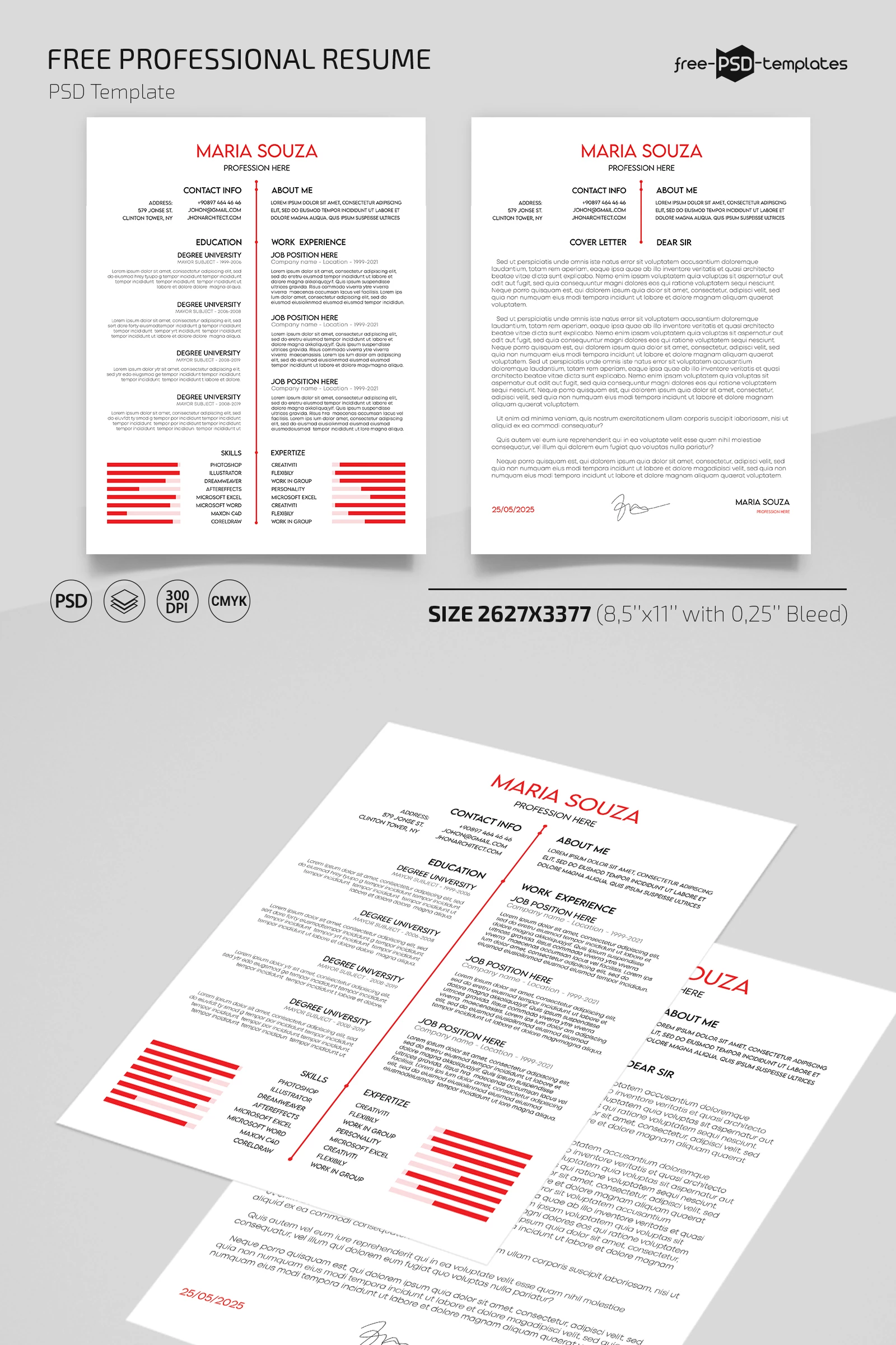 Free Professional Resume Template in PSD