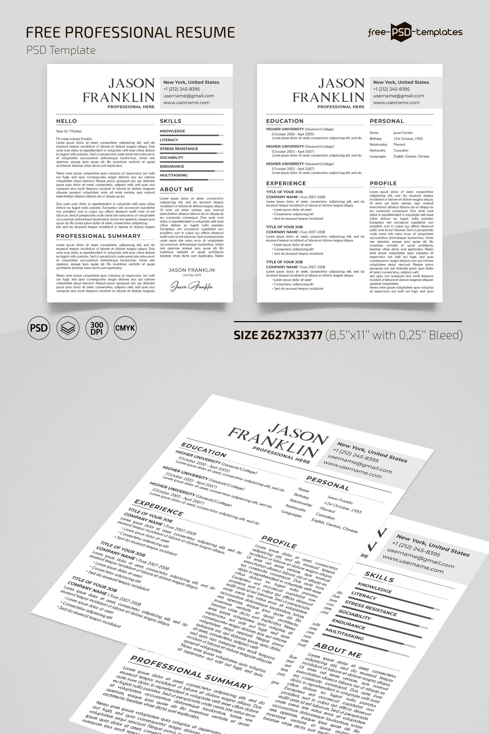 Free Swe Resume Template in PSD