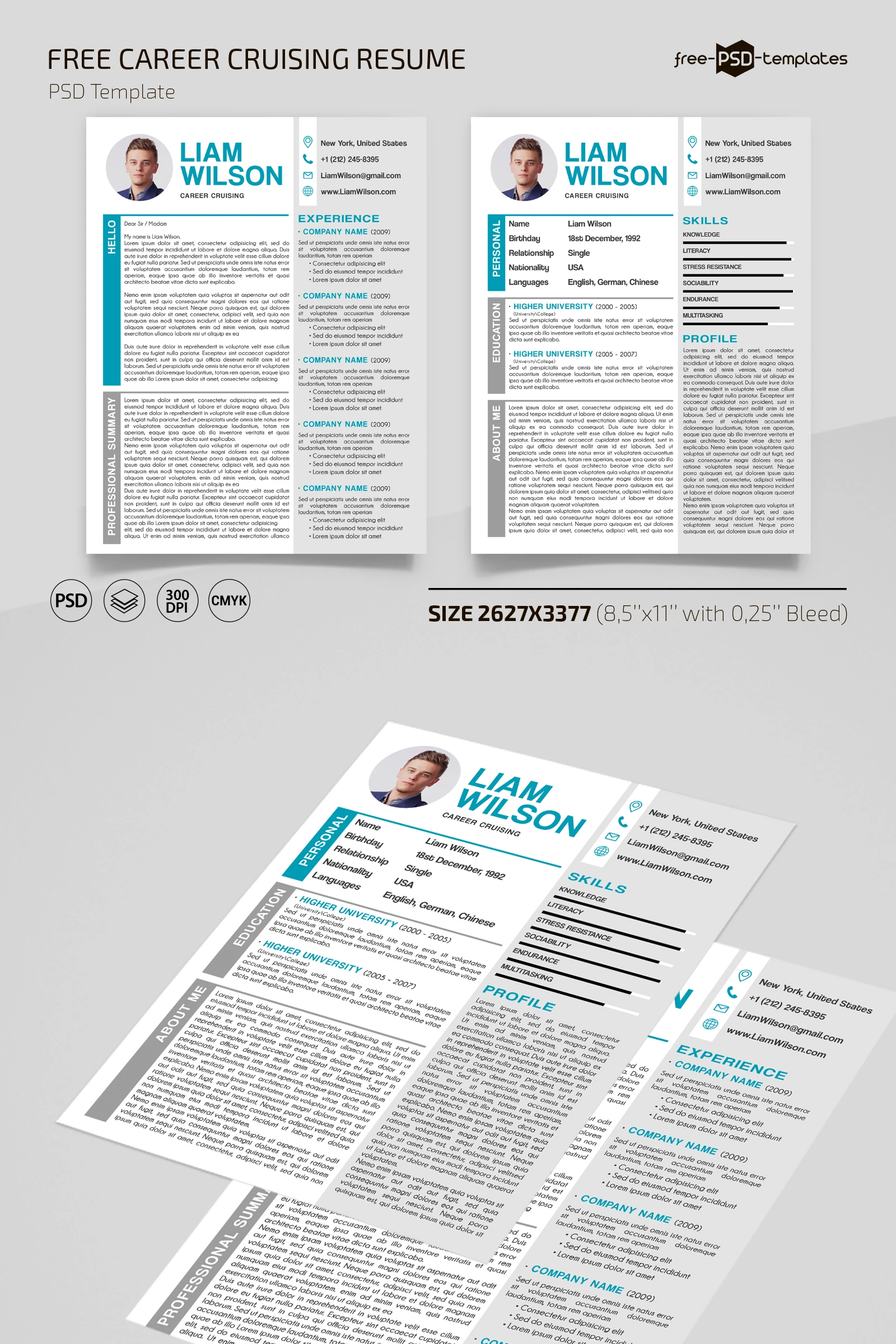 Free Career Cruising Resume Template in PSD