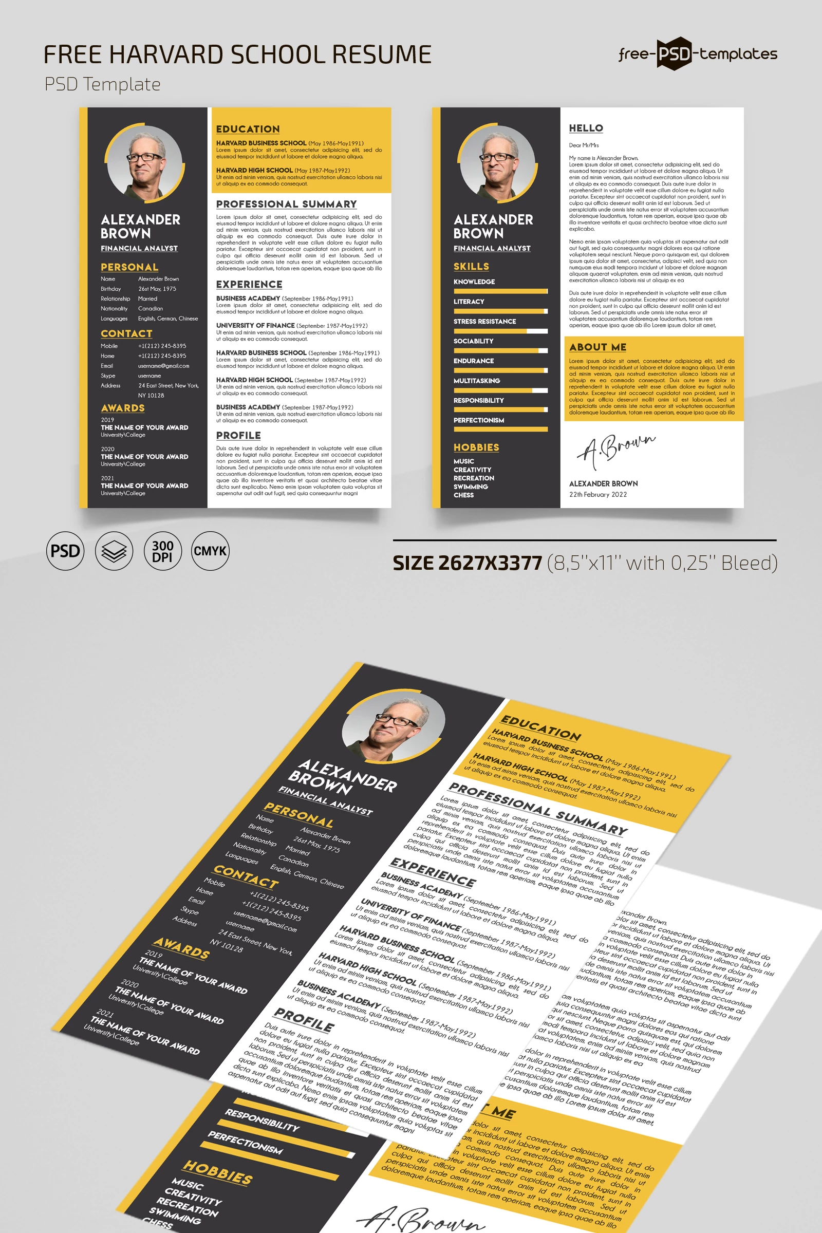 Free Harvard Business School Resume Template in PSD