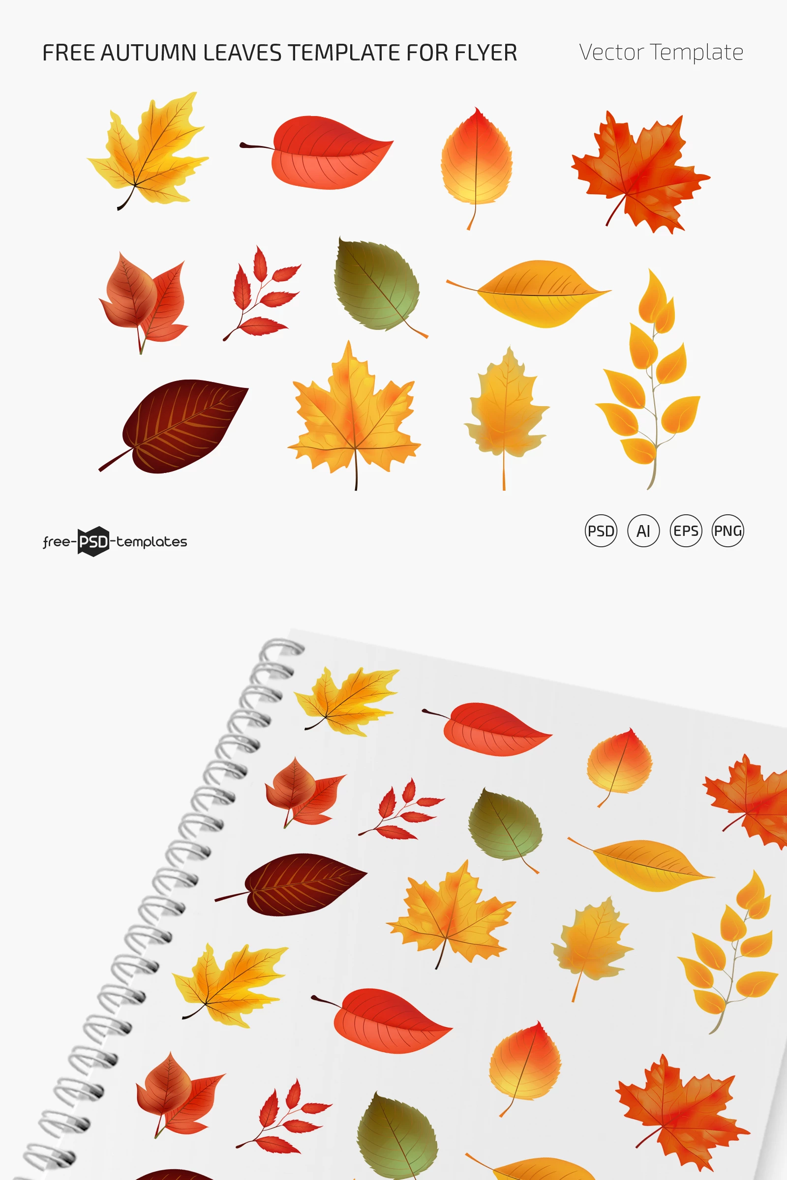 Free Autumn Leaves Template for Flyer