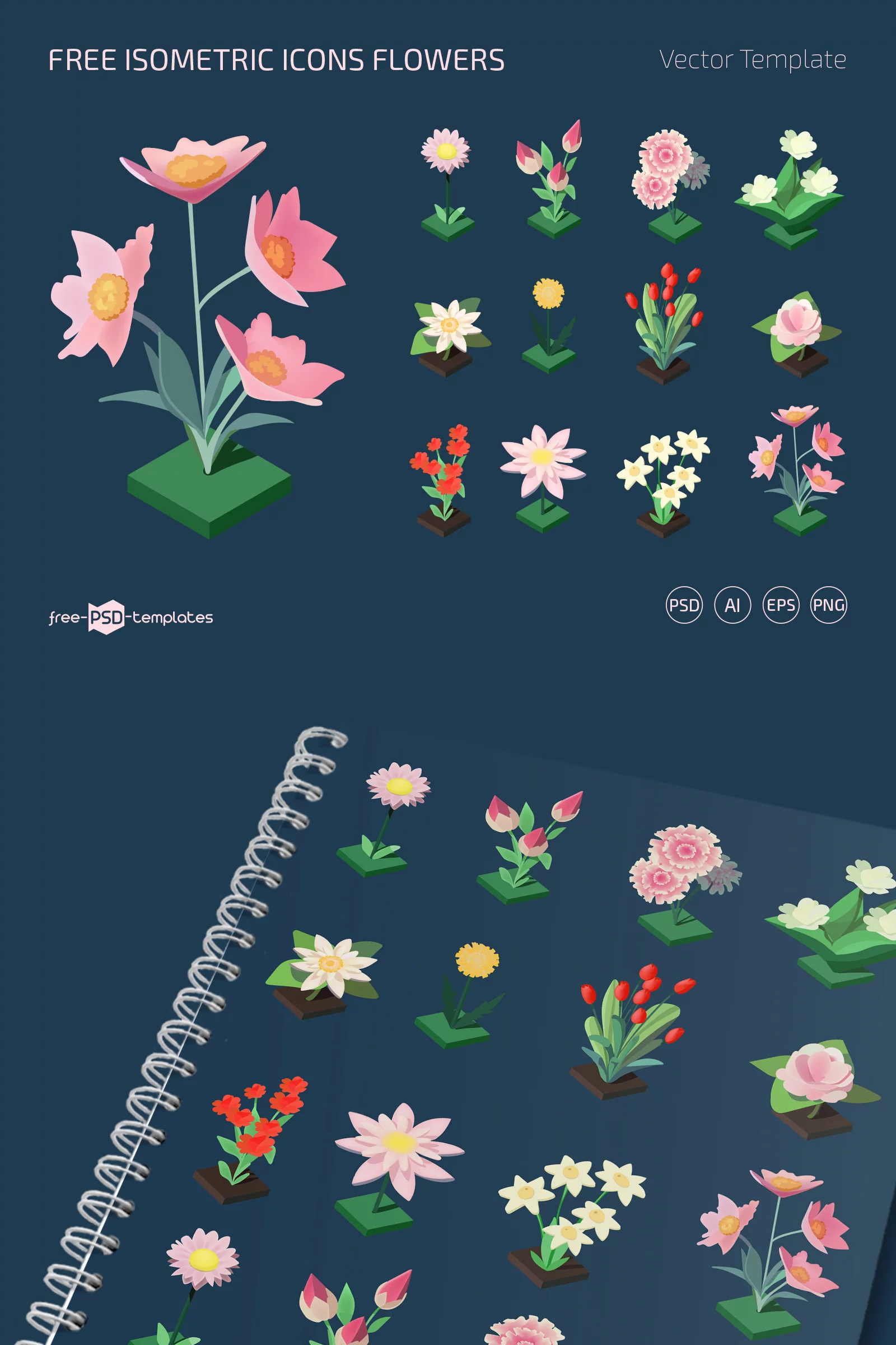 Free Isometric Flowers Icons (PSD, AI, EPS, PNG)