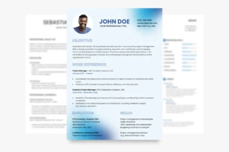 20+ Free CV Templates in Google Docs Format