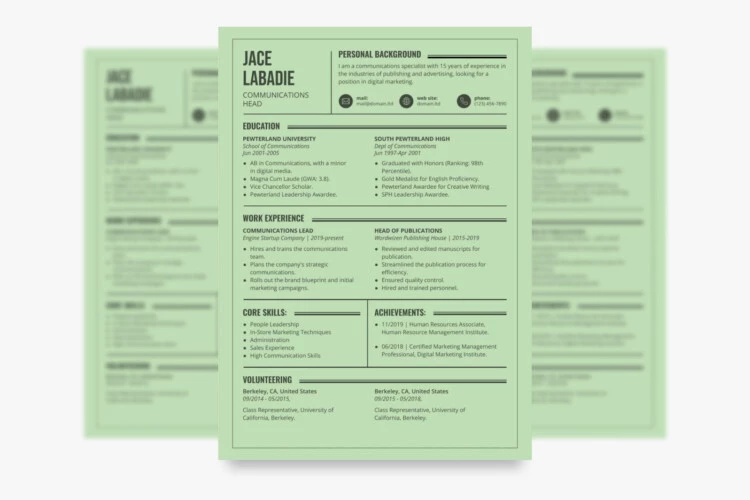 Green Resume Free Google Docs Template