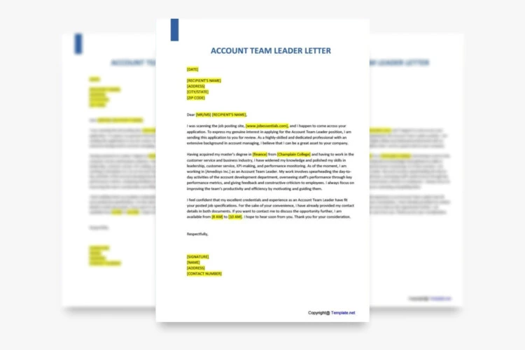 Free Account Team Leader Cover Letter