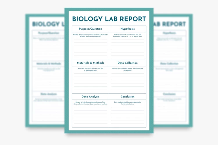 Biology Lab Report Free Google Docs Template