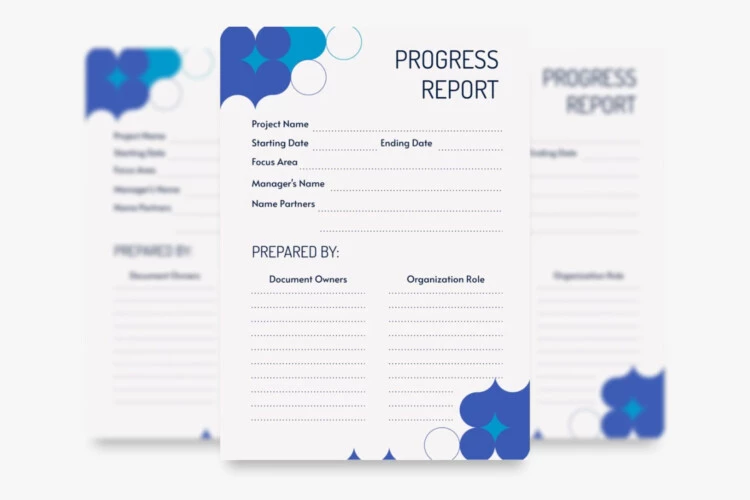 Minimalist Project Progress Report Template
